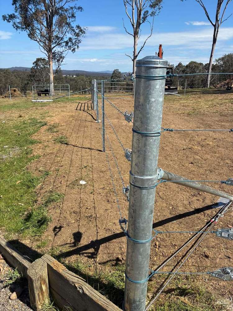 Steel strainer, barb and plain wire