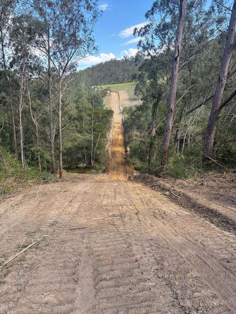 Fence line cut through the bush
